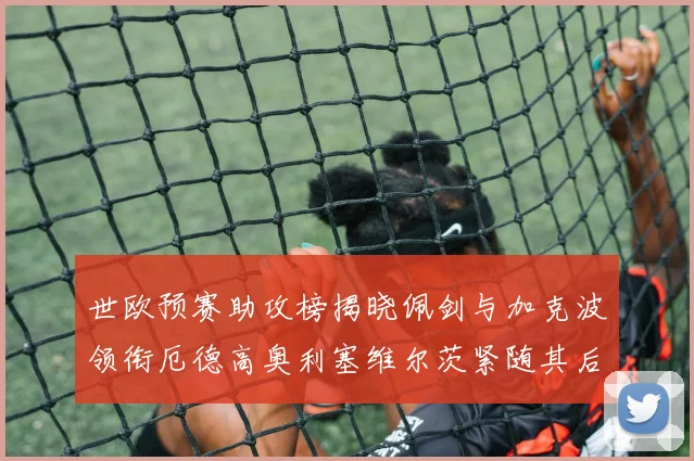 世欧预赛助攻榜揭晓佩剑与加克波领衔厄德高奥利塞维尔茨紧随其后