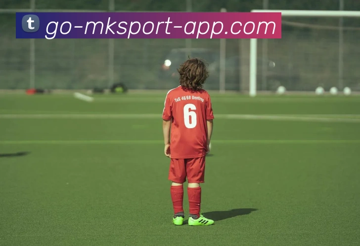 App Interface Preview