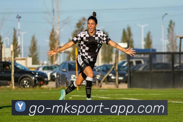 MK体育APP 封面图